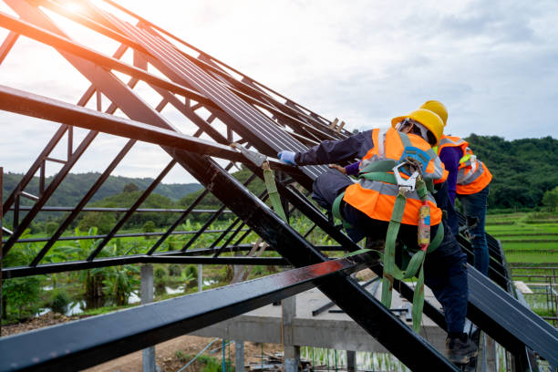 Best Roof Maintenance Services  in Hillsboro, ND