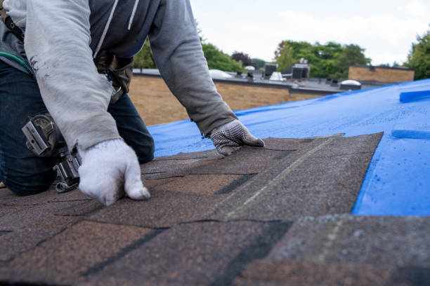 Best Commercial Roofing Services  in Hillsboro, ND
