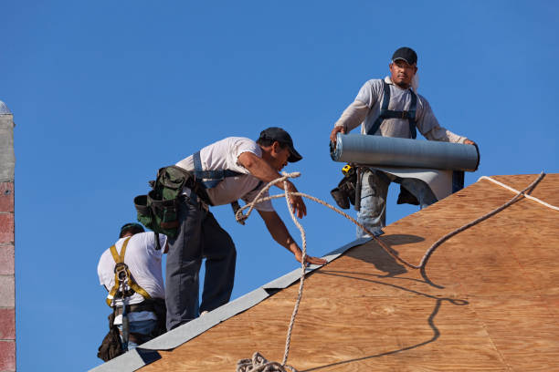 Best Roof Restoration Services  in Hillsboro, ND