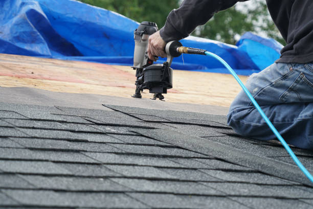 Best Roof Repair Services  in Hillsboro, ND