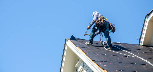 Best Slate Roofing Contractor  in Hillsboro, ND